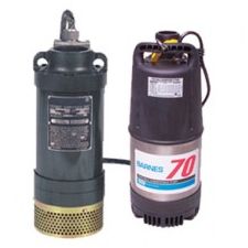 Prosser 9-25000 Series (2-1/2 HP) Dewatering Pump Buyers Guide & Review
